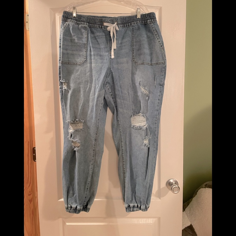 Lane Bryant jogger / jeggings